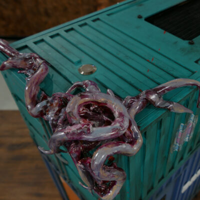 Detalles del PC de Back 4 Blood